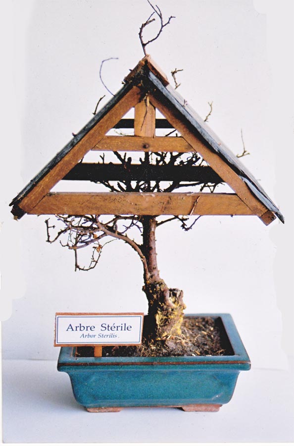 Arbre stérile - Arbor stérilis, 2002. (25 x 25 x 35cm, terre cuite, ardoise, bois divers, terre.)