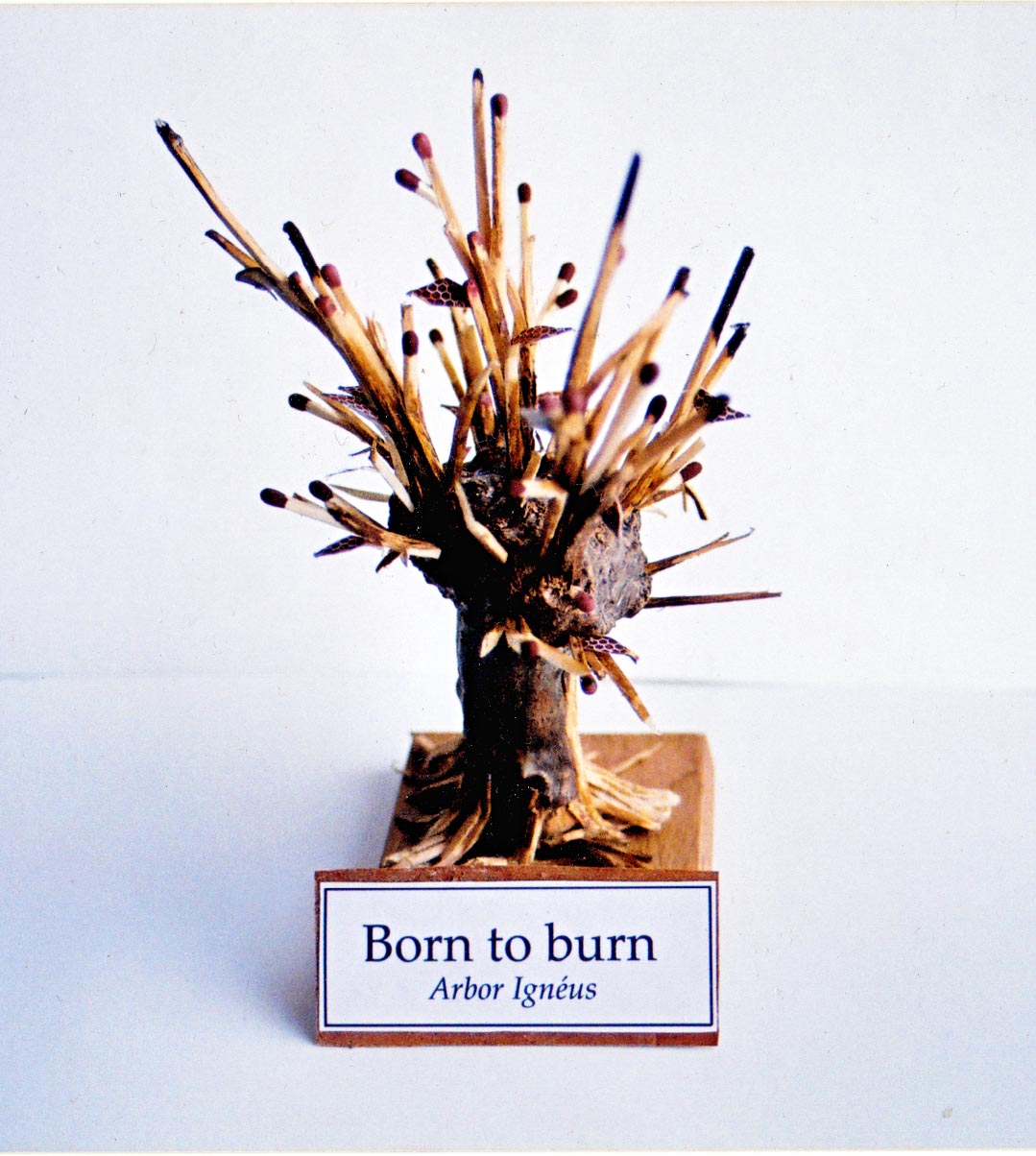 Born to burn, 2006. Poterie, racine, allumettes, terre, 20 x 11 x 9,5 cm.