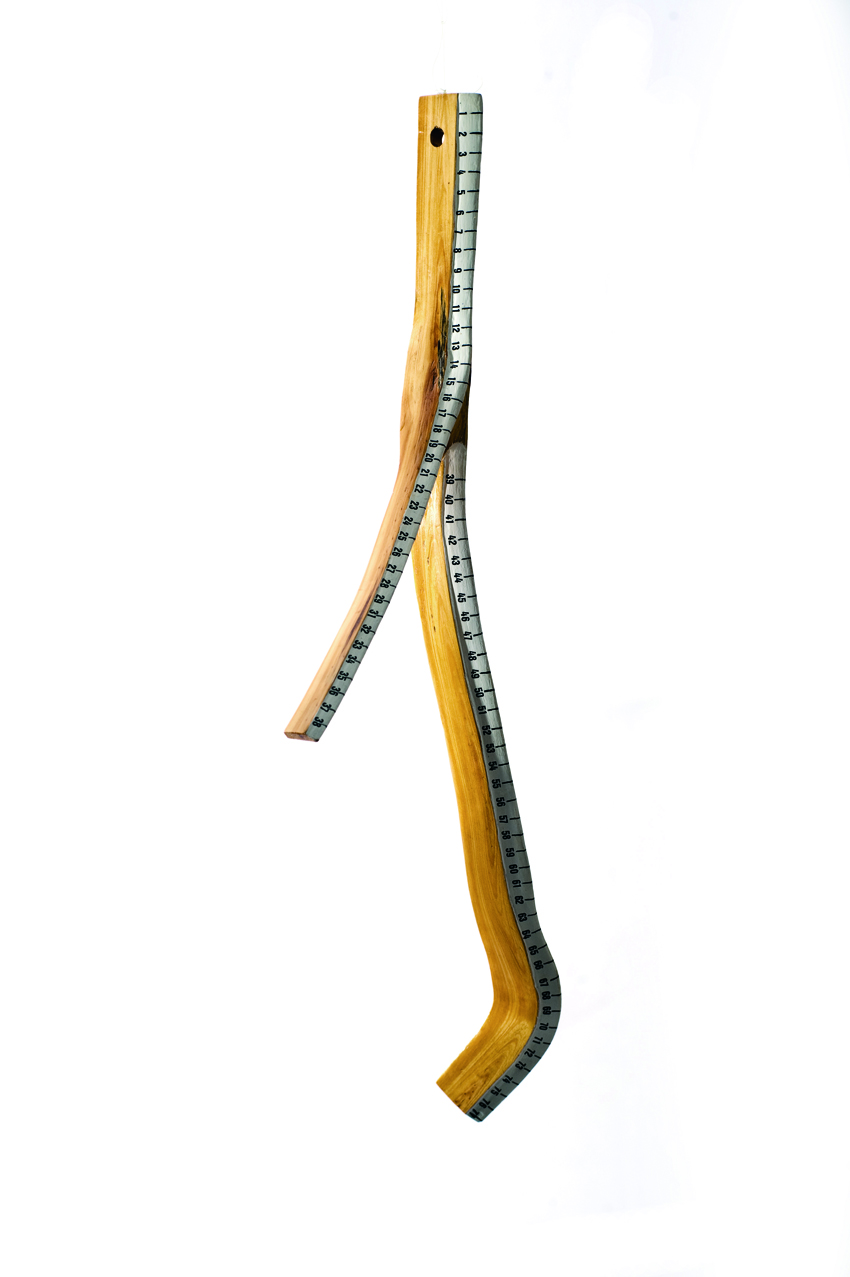 Règle Végétale n°1, 2001 (restaurée en 2009). Branche de Pin Sylvestre, peinture acrylique, chiffres transfert, vernis, 77 cm.