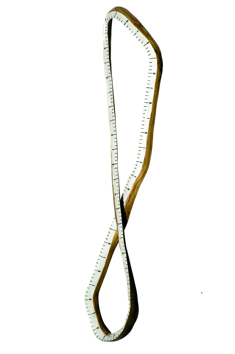 Règle Végétale n°7, langage binaire 0-infini, 2009. Tronc de lierre, peinture acrylique, chiffres transfert, 55 x 11 x 6 cm.