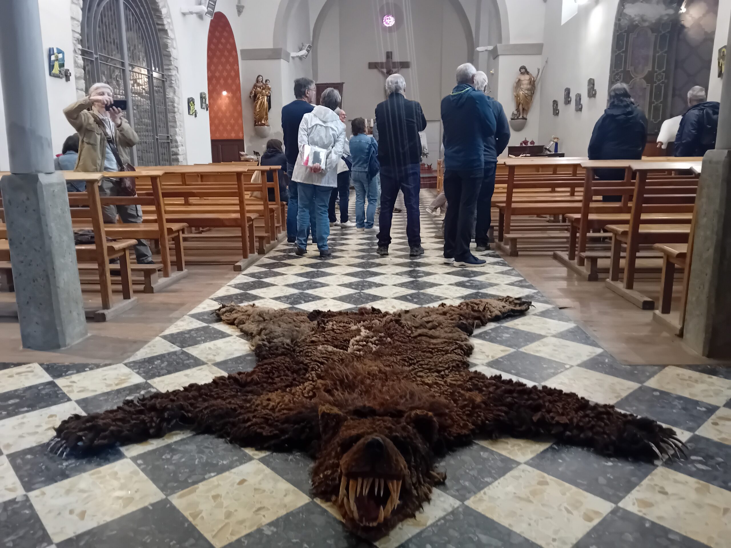 "Guilty", 2025 / Toisons de brebis, bois, crocs de boucher.